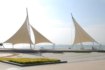 柴偲