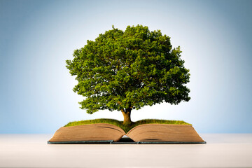the day you went away 的完整歌词